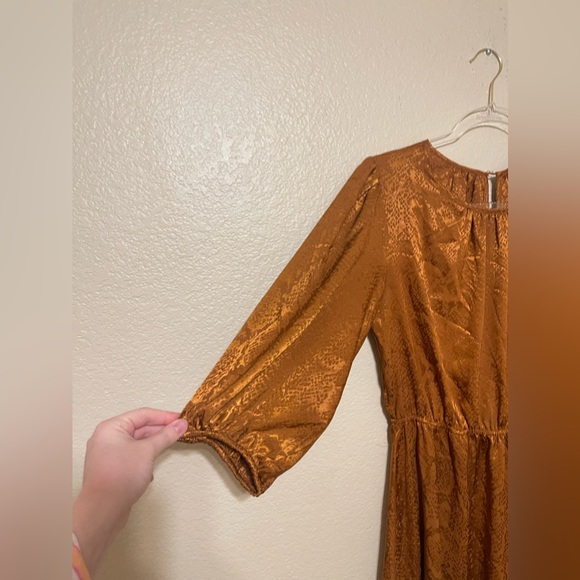 Sandra Darren Rattle Snake Silk Dress - Picture 6 of 11